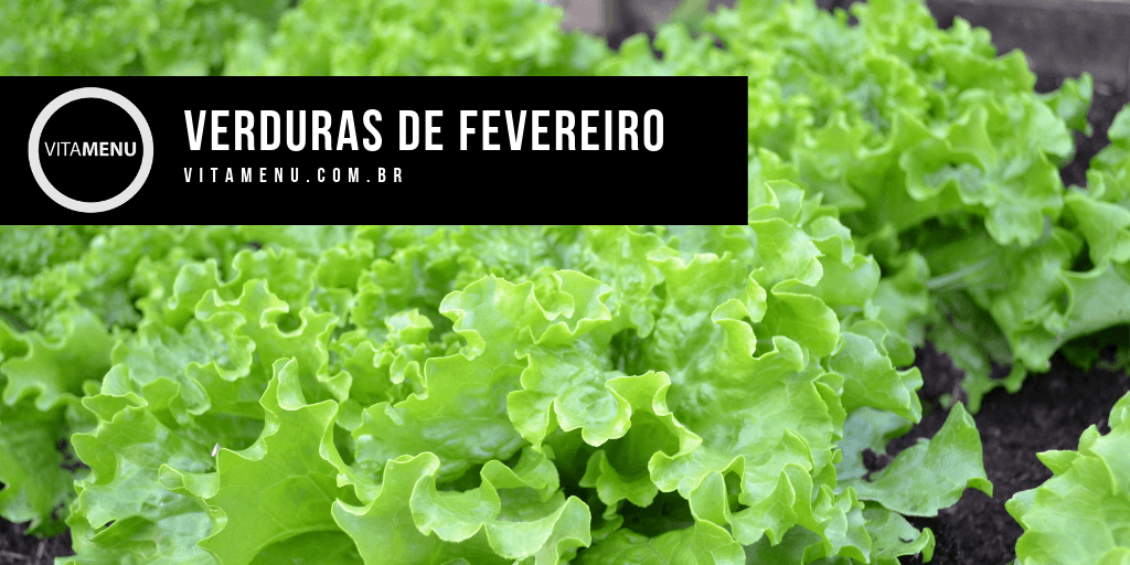 Verduras De Fevereiro